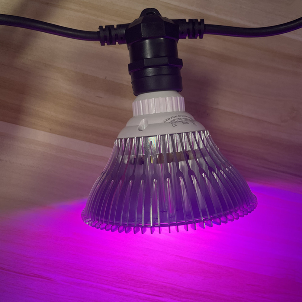 10M Kabel LED, komercyjna jako – Outdoor Lighting Diy recenzja i cena